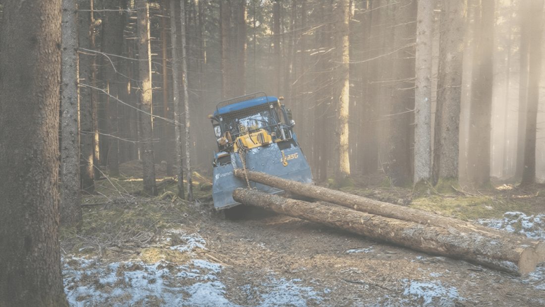 Holzbringung